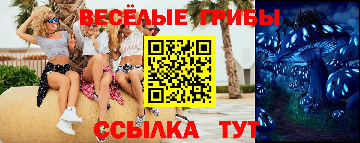 Галлюциногенные грибы прущие грибы  Псилоцибиновые грибы Psilocybe  Вход с VPN  магазин  наркотиков  Златоуст 